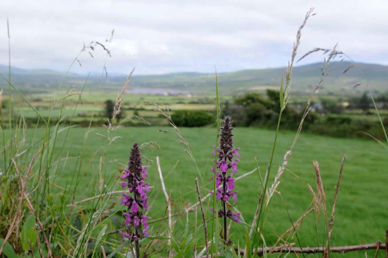 Short Strand Dingle Emlagh East Exterior foto
